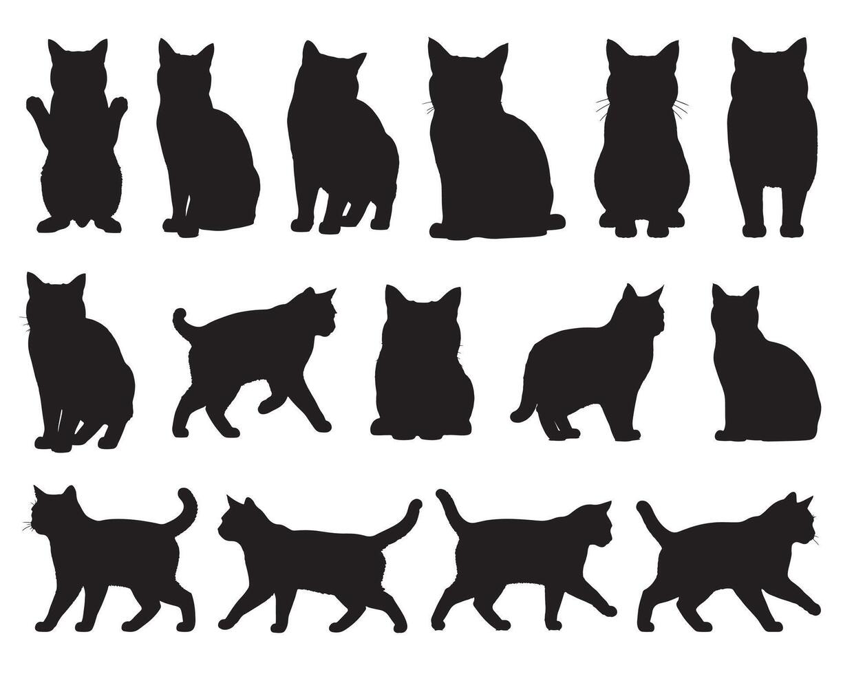 Cats silhouette white background vector