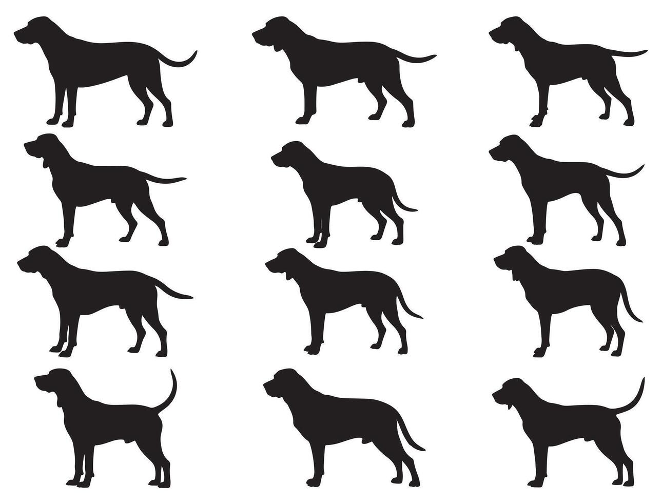 Coonhound dogs silhouette white background vector