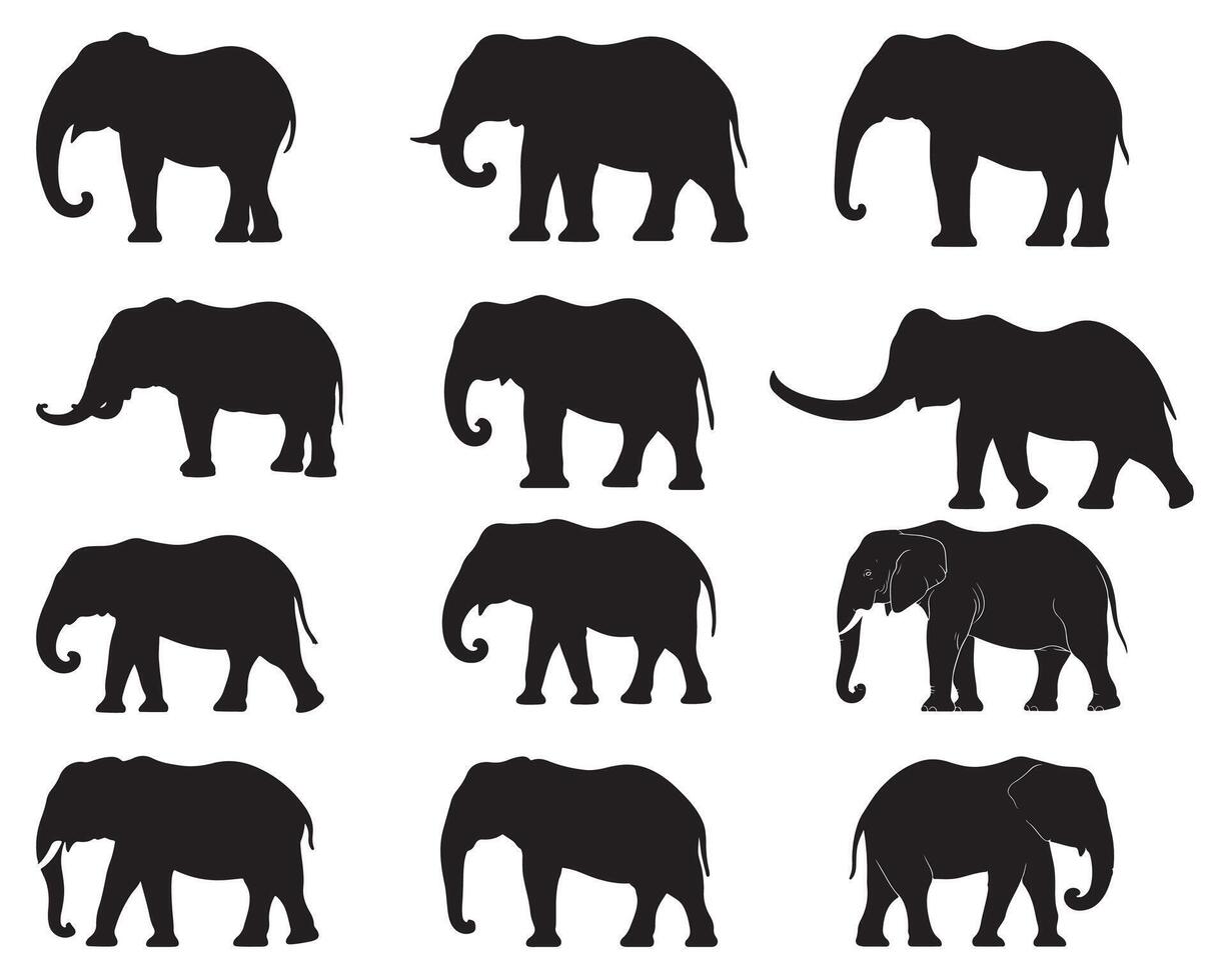 Elephant silhouette white background vector