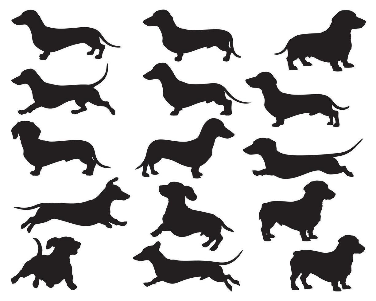 Dachshund dogs silhouette white background vector