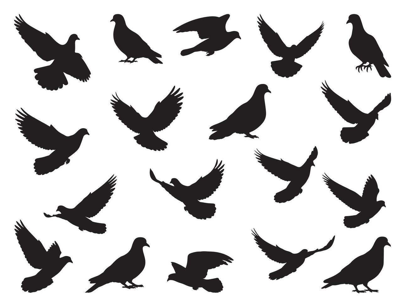 Doves silhouette white background vector