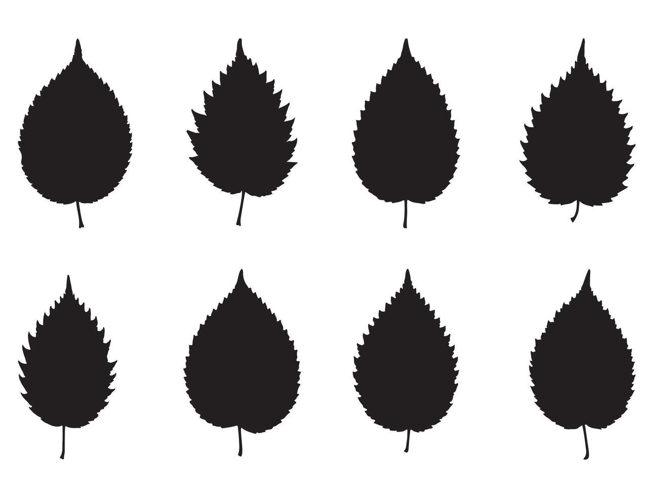 Elm leaf silhouette white background vector