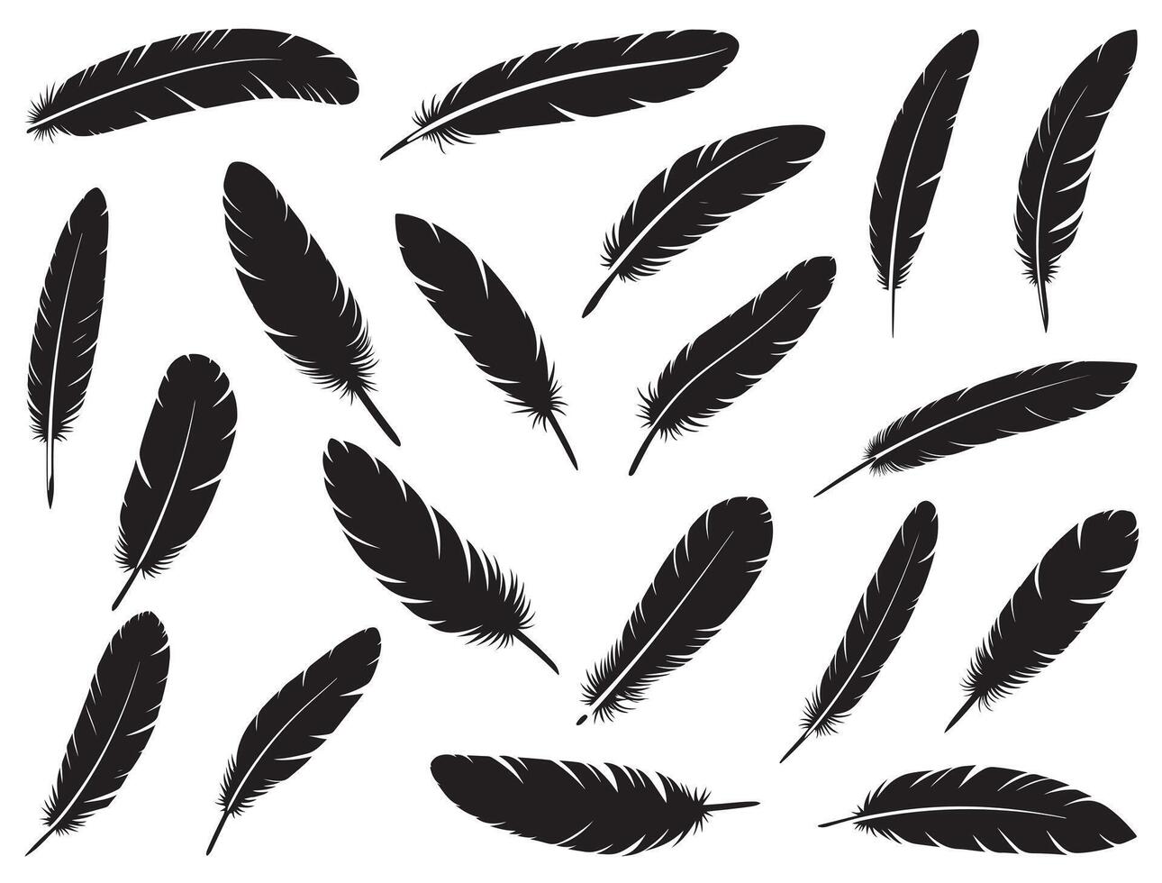 Feathers silhouette white background vector