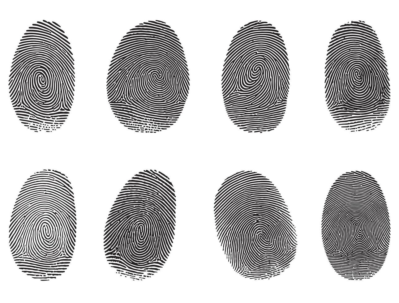 Fingerprints silhouette white background vector