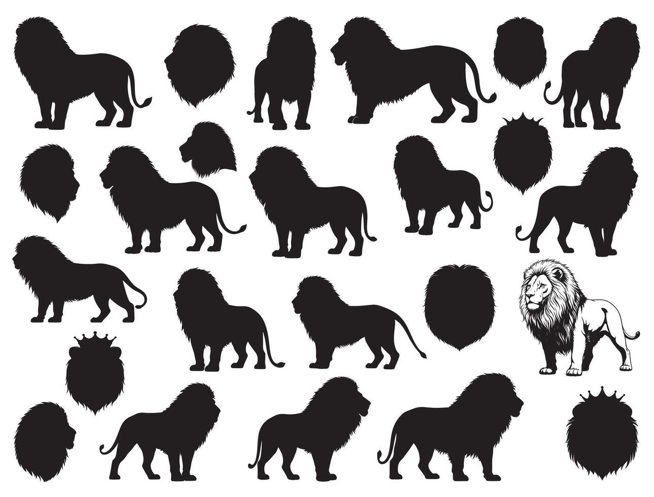 Lions silhouette white background vector