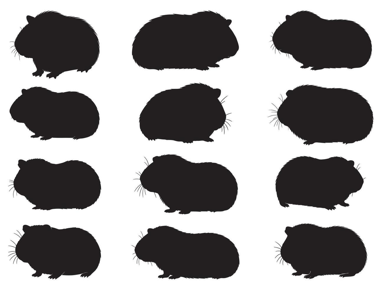 Guinea pig silhouette white background vector