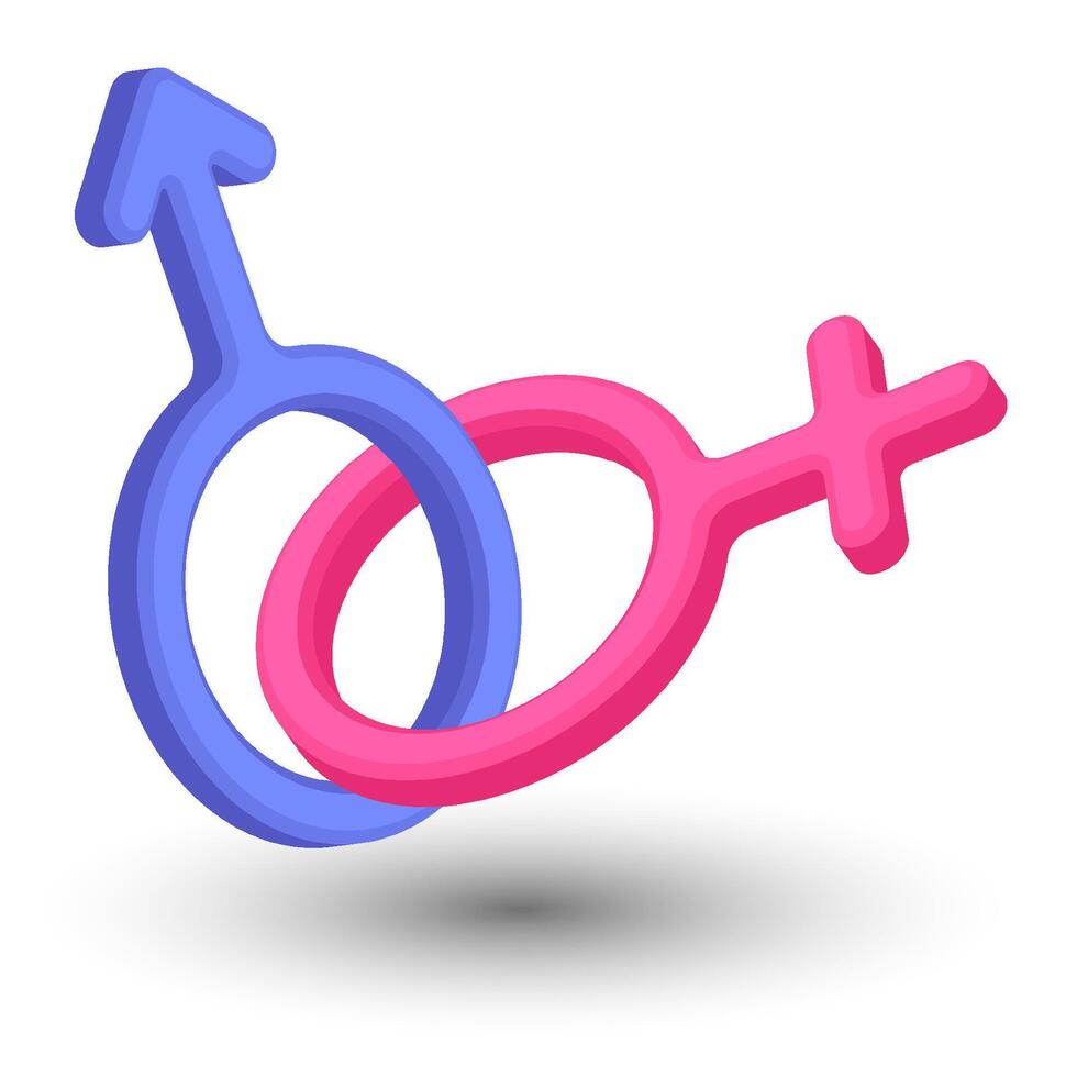 Isometric Male and female gender symbols connected together. Strong union of man and woman. Realistic 3D isolated on white background image vector