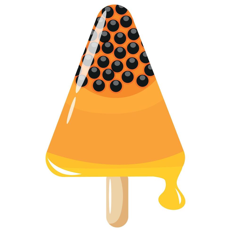 fruit ice cream triangle shape with papaya design on a stick for packaging, textile or banner vector