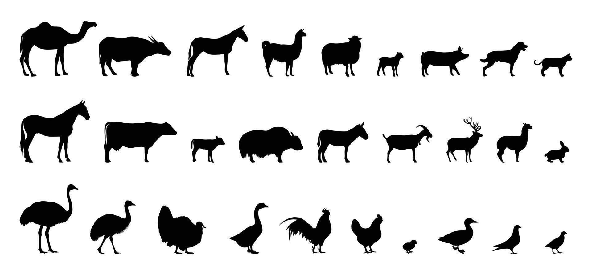 group of farm animal silhouette isolated vector