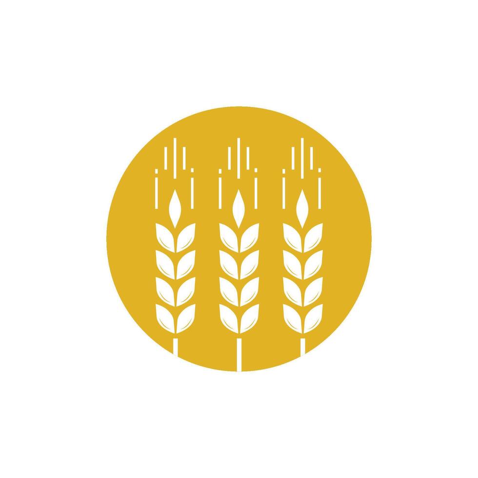 Wheat on circle Logo icon vector