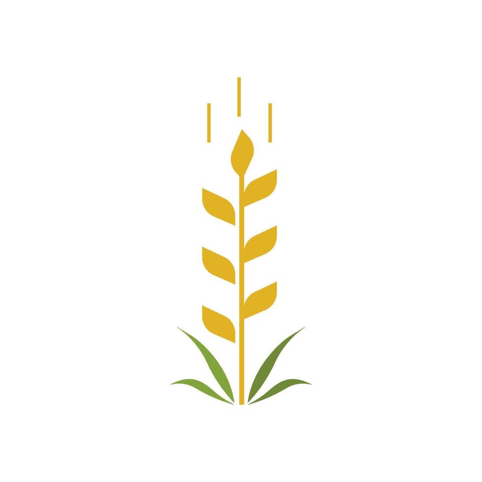 Wheat Logo design vector