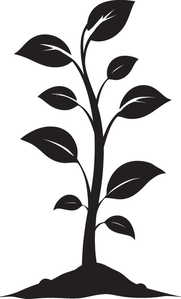 A minimalist black-and-white depiction of leaves on a stem. vector