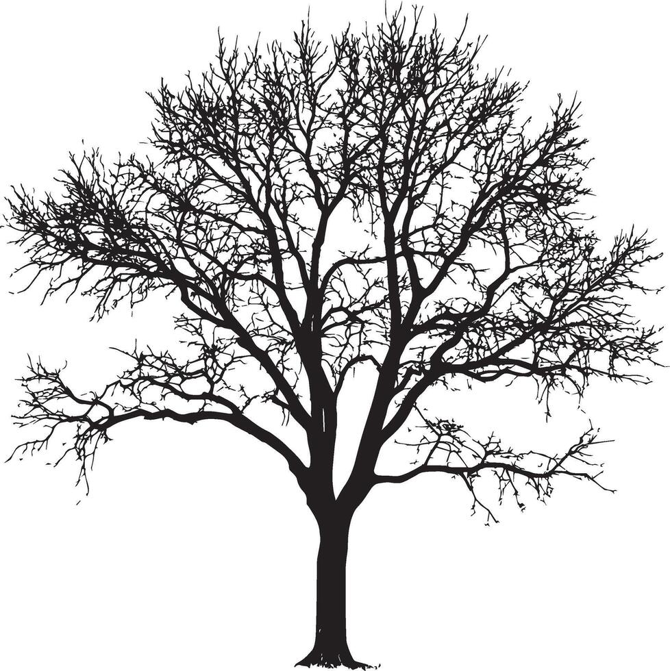 a black and white illustration of a tree vector