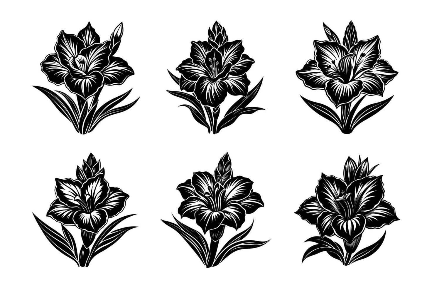 gladiolus flower bloom vector