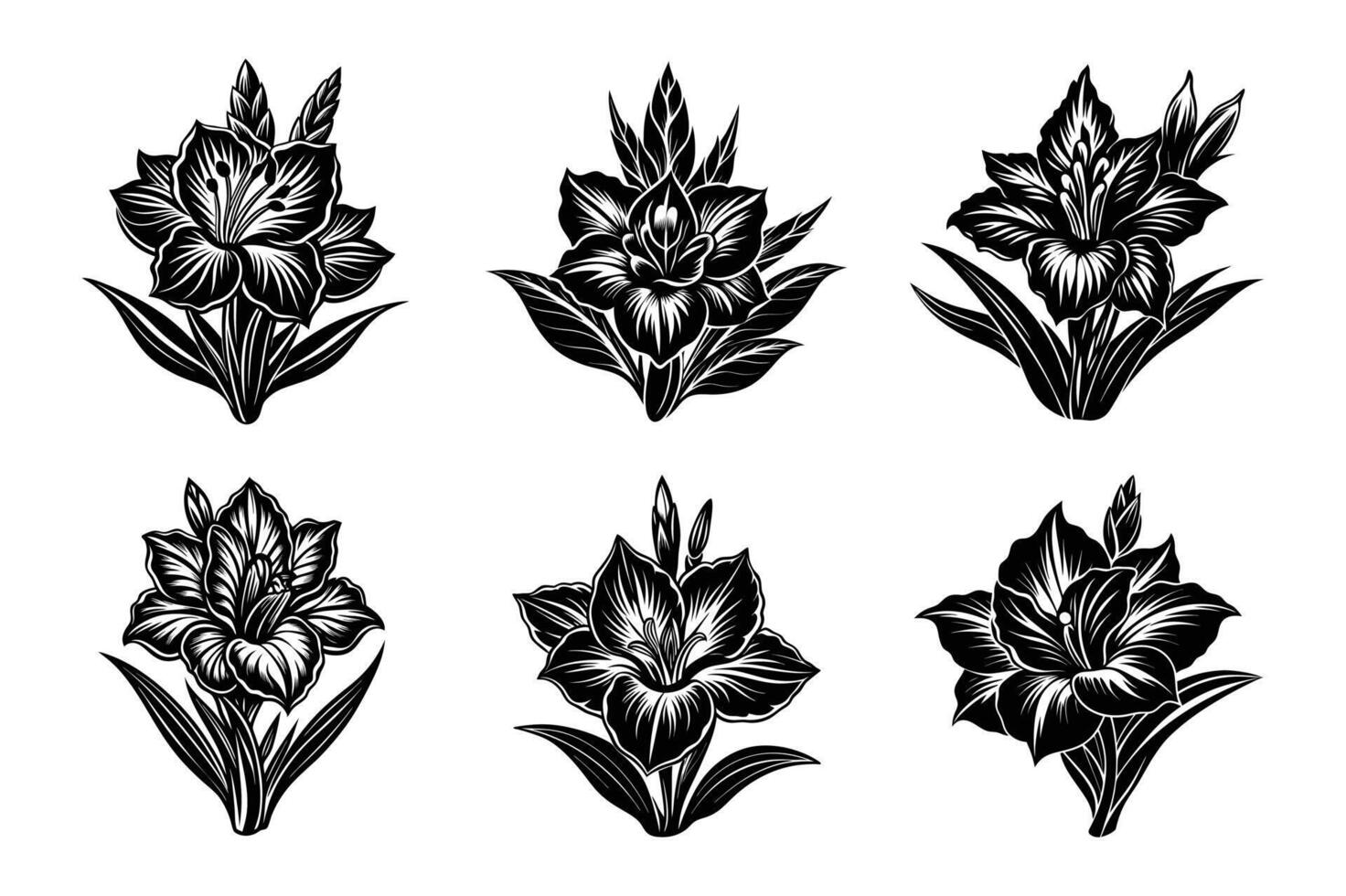 Gladiolus line art silhouette vector