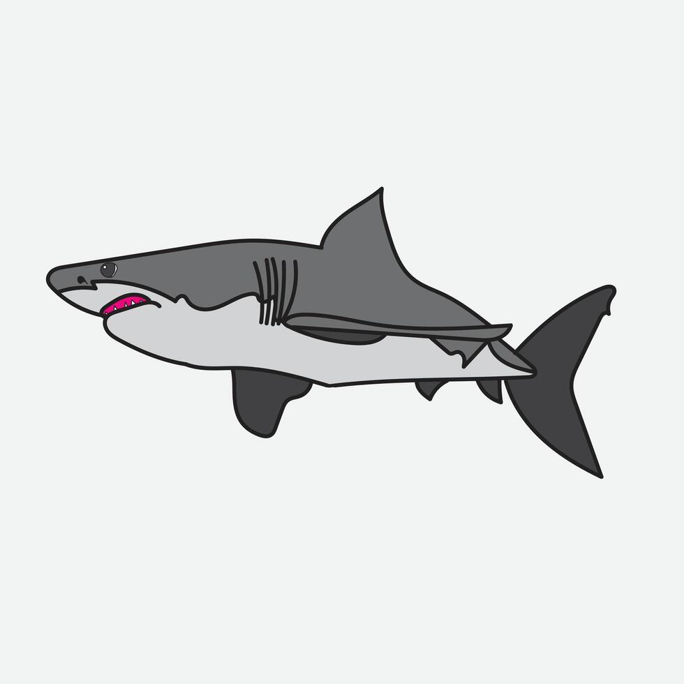 Great White Shark Illustration with white Background vector