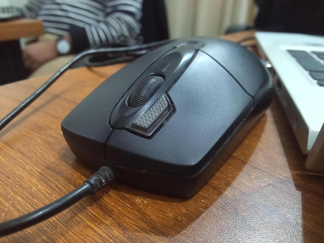 mouse in the desk office photo