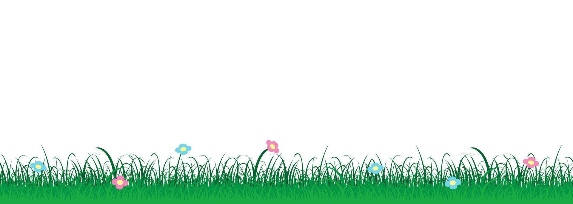 Floral and grass border featuring vibrant meadow flowers and lush greenery. vector