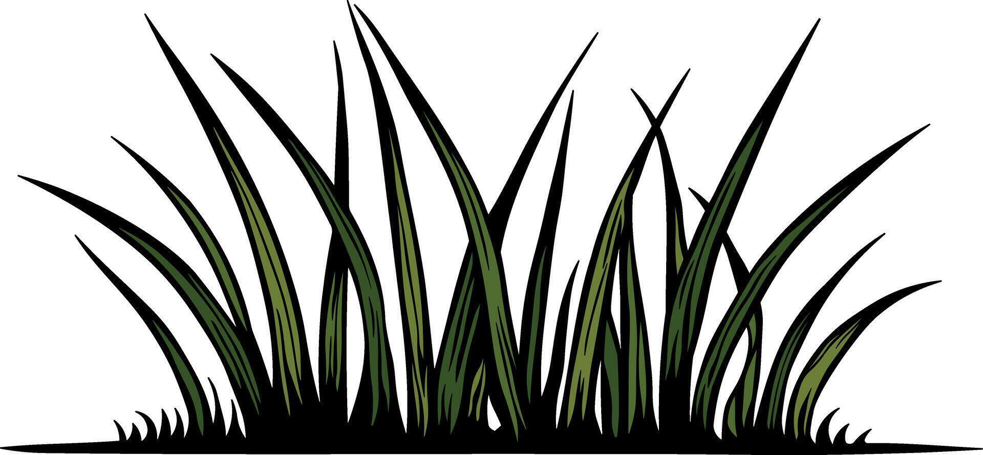 color illustration of grass with black outline without background vector