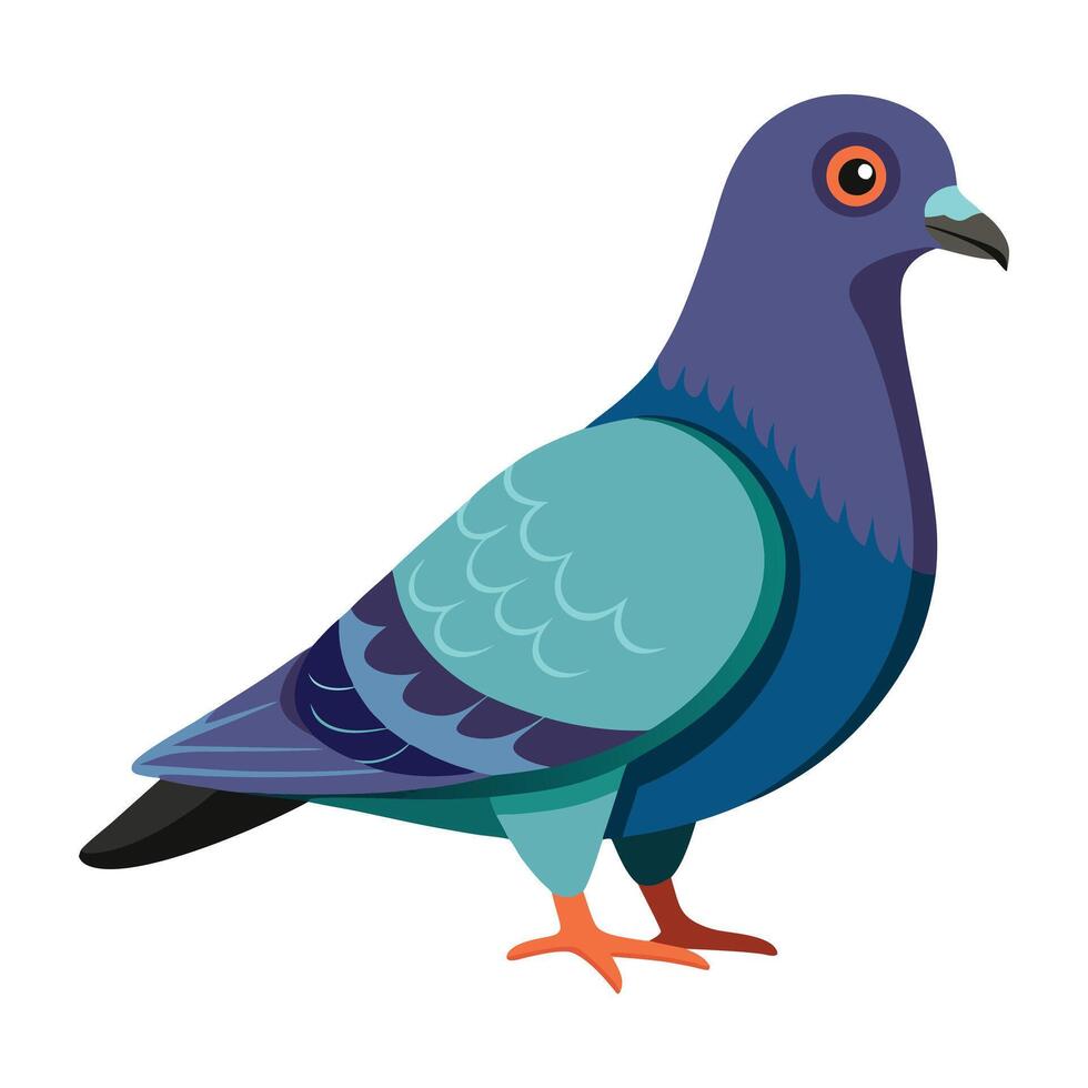 a pigeon with a blue and purple body vector