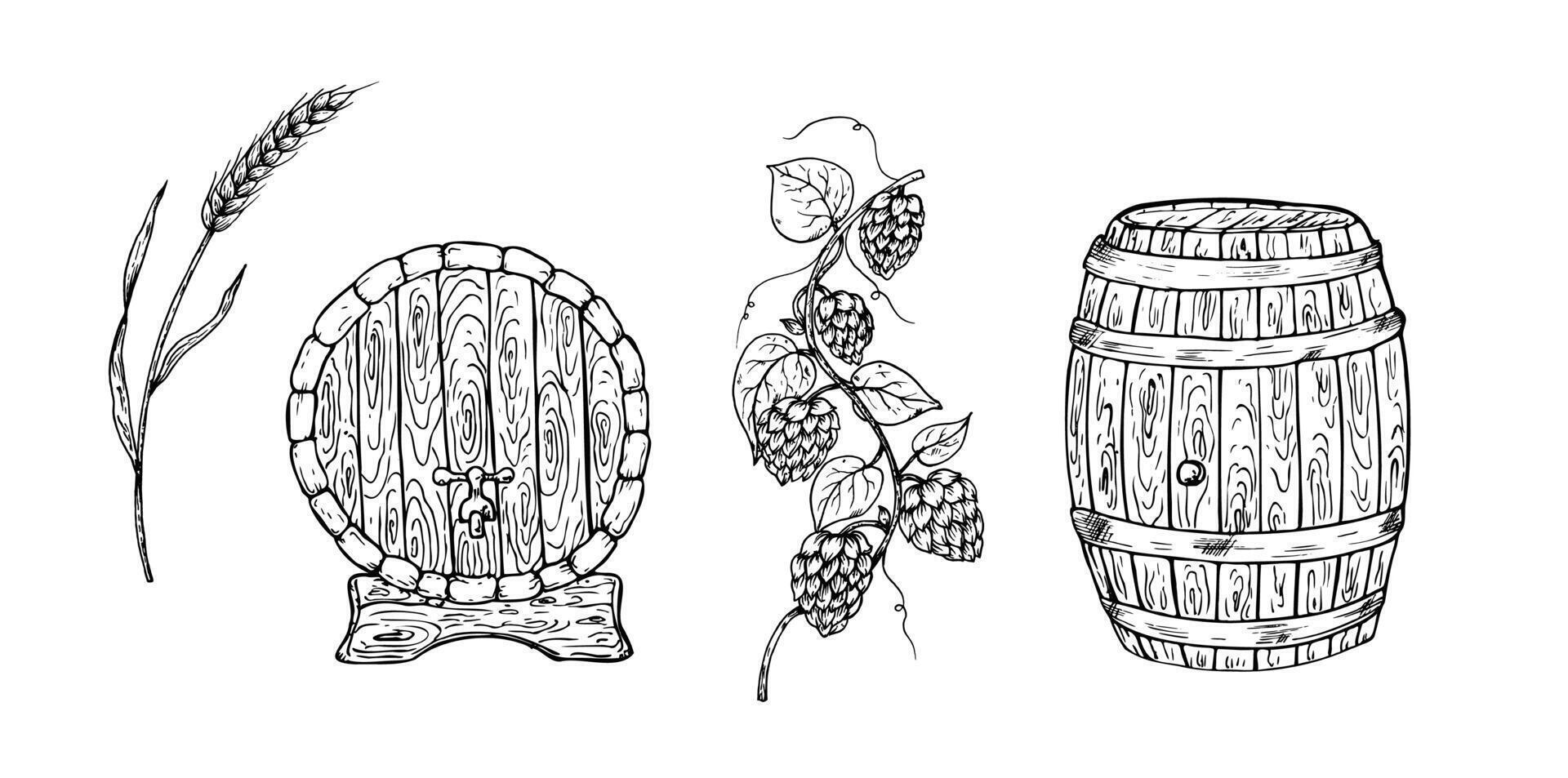 set with wooden barrel for wine, beer, whiskey with a tap. Graphic vintage illustration common hop, wheat isolated on background. Hand drawn wood oak keg line sketch. For designers, prints vector