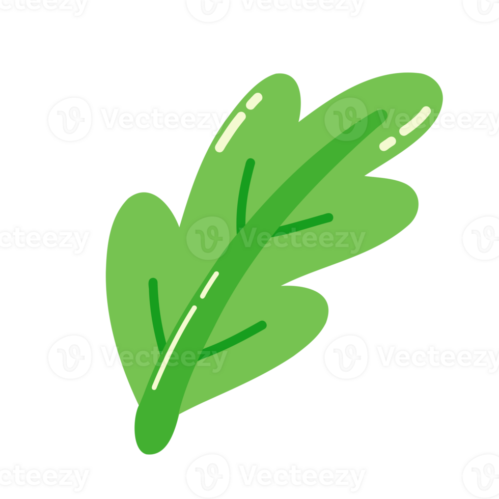 A bright green leaf cartoon with a simple, serrated shape. A tree with brightly colored leaves that reflects global warming. png