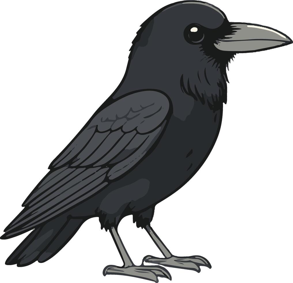 crow on a branch vector