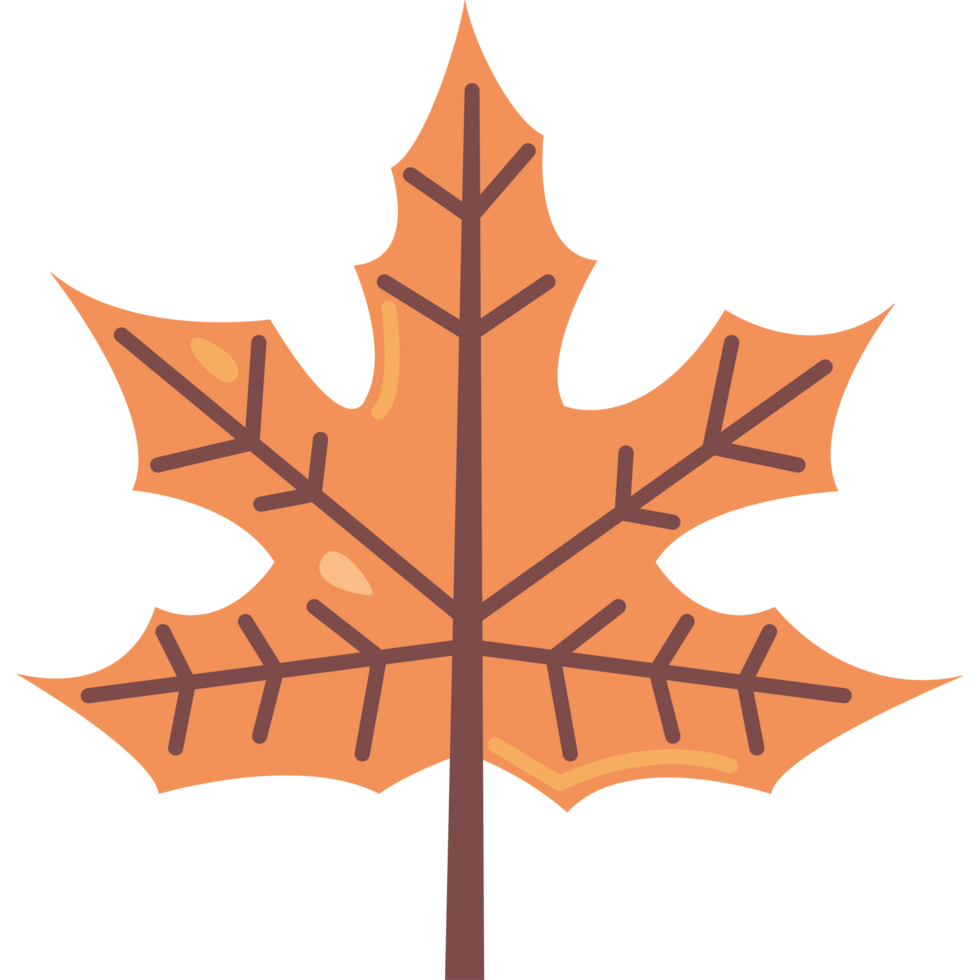 An orange maple leaf icon isolated png