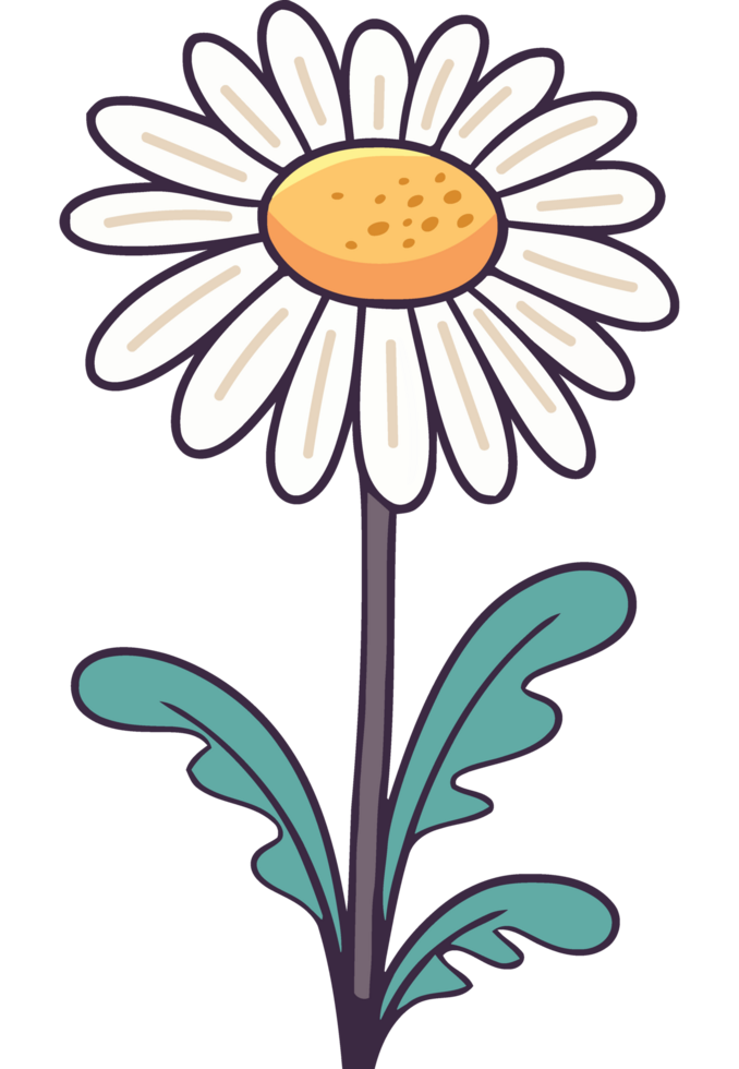 Fresh chamomile blossom and leaf icon isolated png