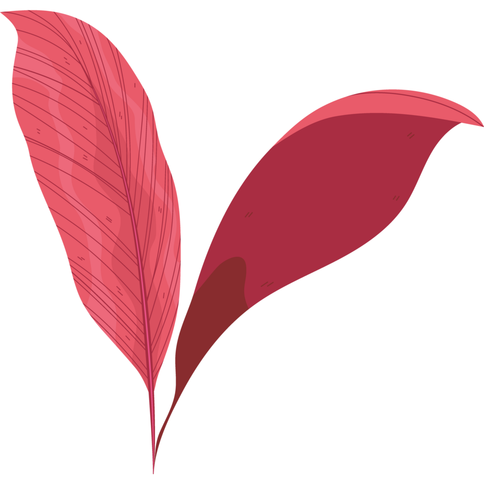 A red leaf cartoonicon isolated png