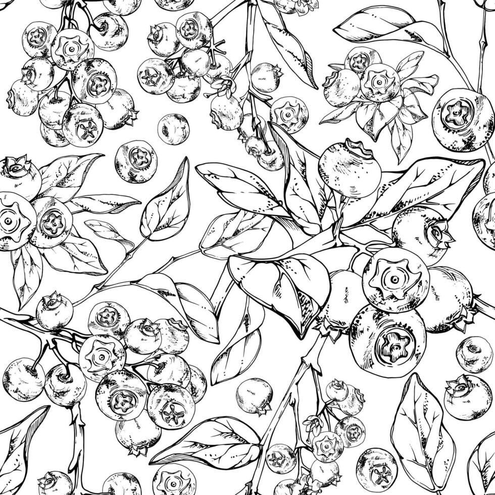 Blueberry blackberry with plant leaves, hand drawn in ink , forest berry in group clusters on branches. Seamless banner garland illustration, for restaurant, cafe menu, wedding, farmers market vector