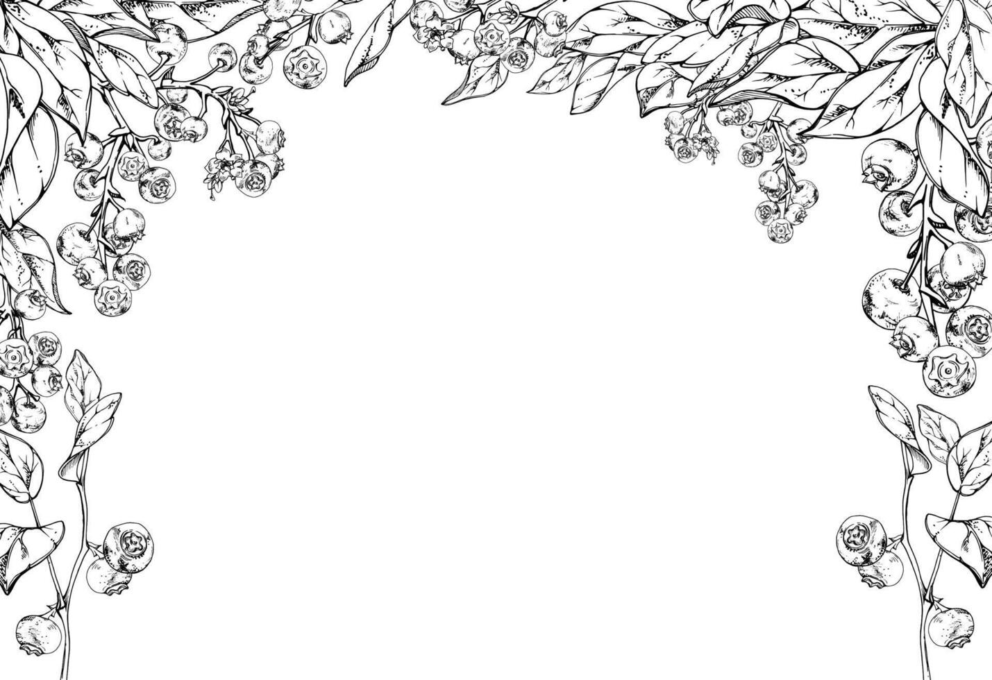 Blueberry blackberry cluster with plant leaves on branch, hand drawn in ink , ripe forest berry. Isolated corner frame botanical illustration for restaurant, cafe menu, wedding, farmers market vector