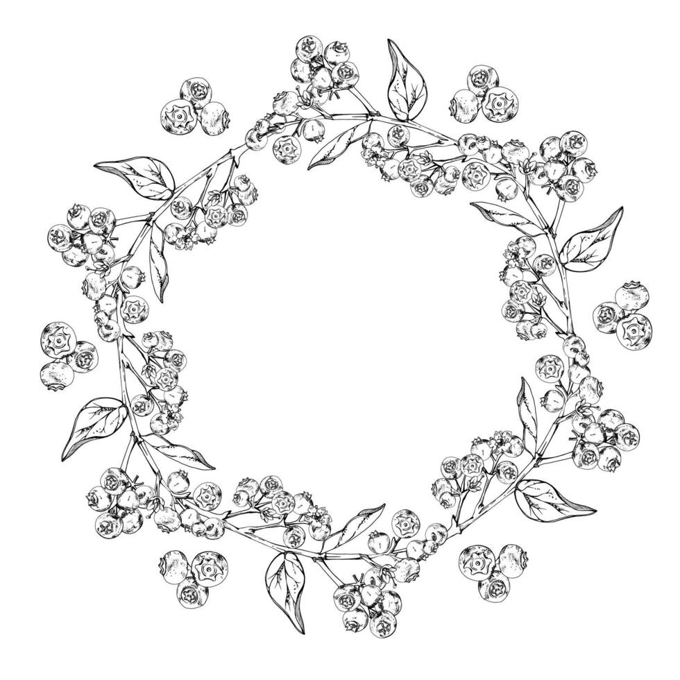 Blueberry blackberry cluster with plant leaves on branch, hand drawn in ink , ripe forest berry. Isolated wreath frame botanical illustration for restaurant, cafe menu, wedding, farmers market. vector