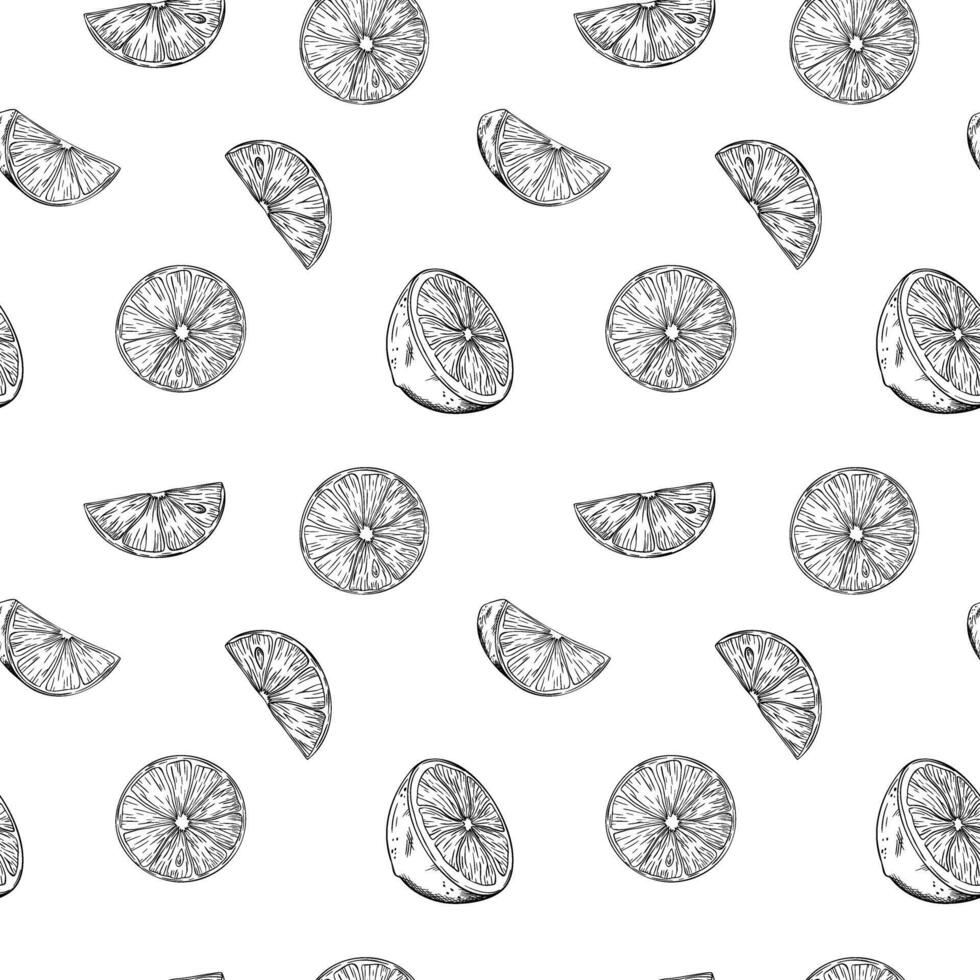 Seamless pattern of Lemon or lime slice. illustration. Sketch hand drawn. Half tropical citrus fruit. Design for menu, package, cosmetic, textile, fabric vector