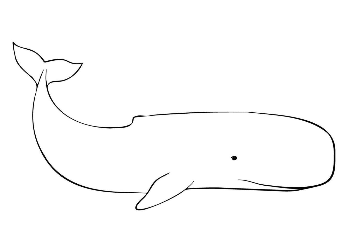 Outline of sperm whale, cachalot, sea animals. Hand drawn black inks. illustration Drawing of Aquatic placental marine mammal with flippers and tail. Etching of underwater fish. vector