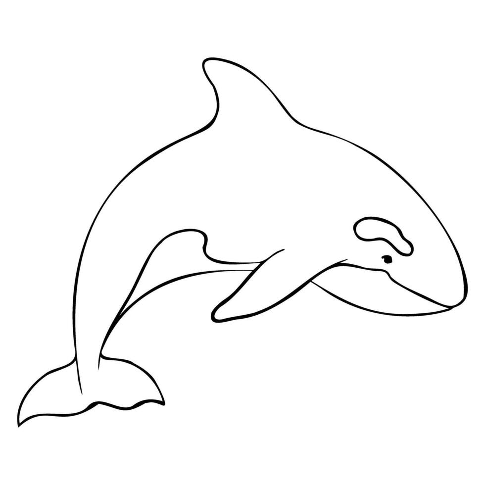 contour of Killer whale or Orcinus orca. Linear Wild inhabitants of the seas and oceans of the Arctic. Hand drawn outline illustration. Undersea mammal animal in monochrome vector