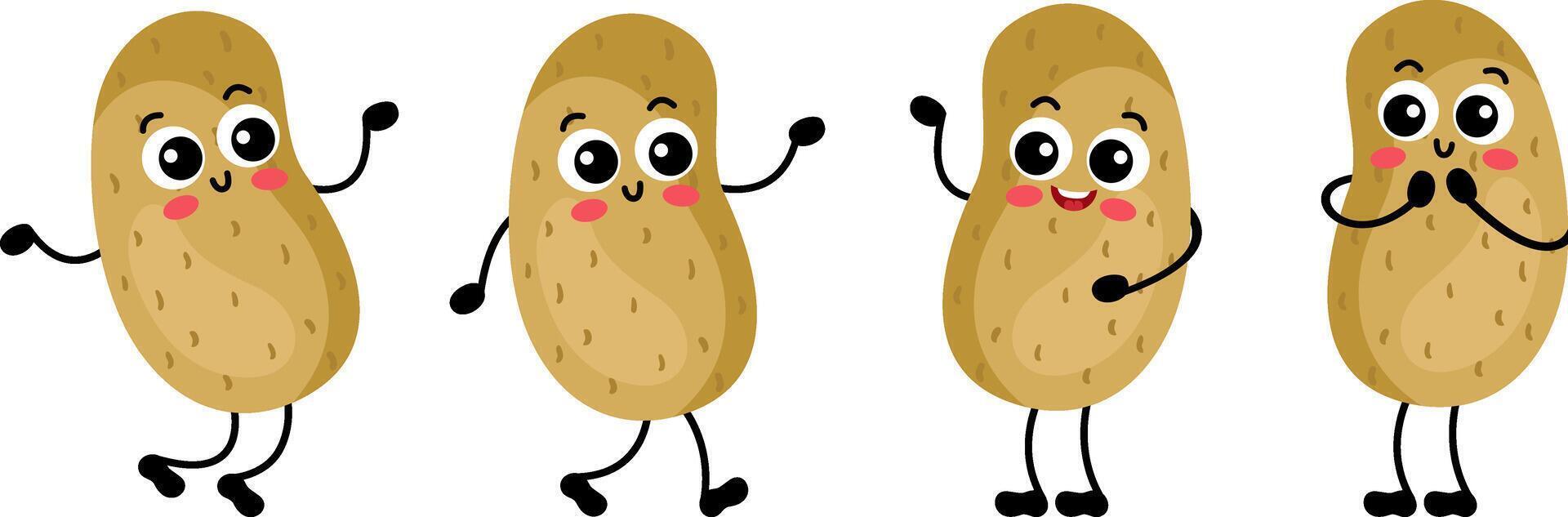 Set of funny potato in different positions vector