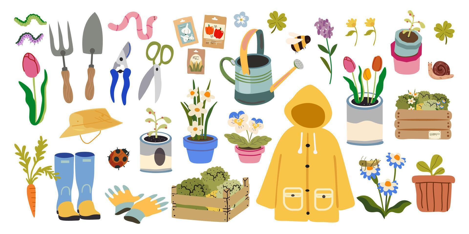 Growing plants, flowers and herbs, seedling. Caring for garden and decoration elements vector