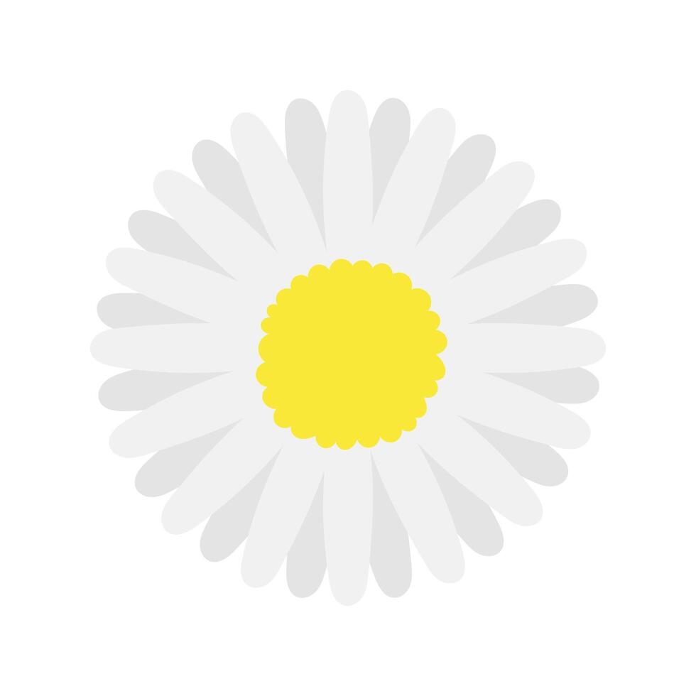 Daisy flower flat icon on white background for web and mobile design. vector
