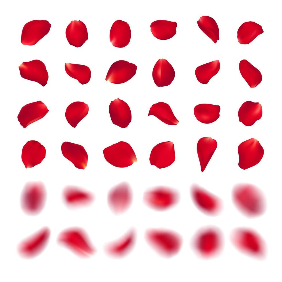 template of red rose petal of different shape isolated on white background. Realistic volumetric blurred burgundy petals. Blur effect illustration. vector