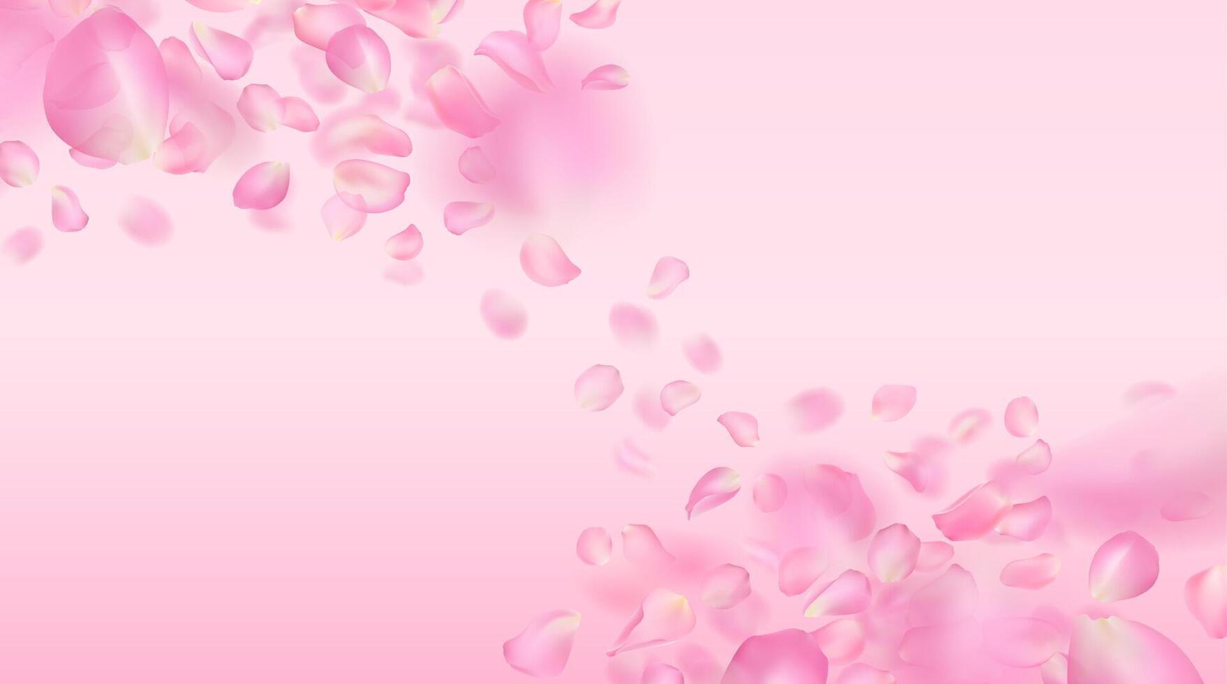 template of realistic falling rose petals. Flying voluminous blurred pink sakura petals with blur effect. Spring flower illustration for background, wallpaper, banner, romantic greeting card. vector