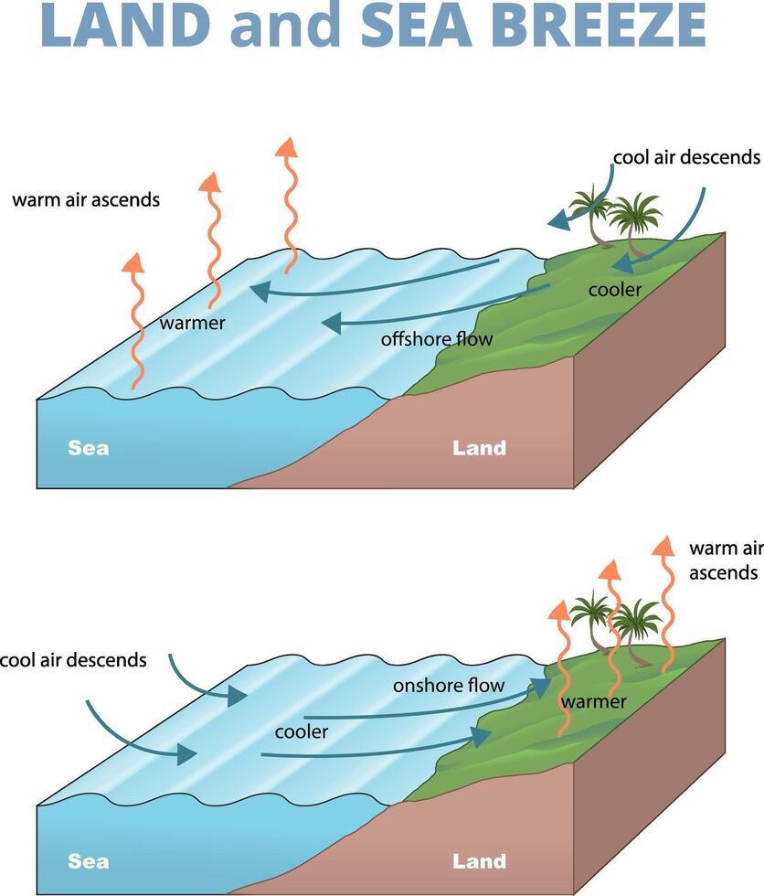 illustration of land and sea breeze diagram vector