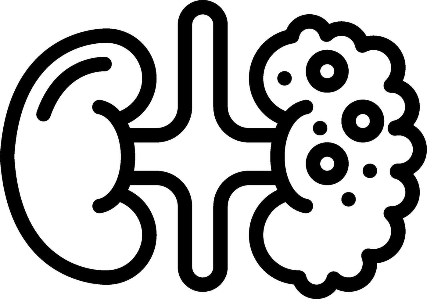 A black and white drawing of a kidney vector