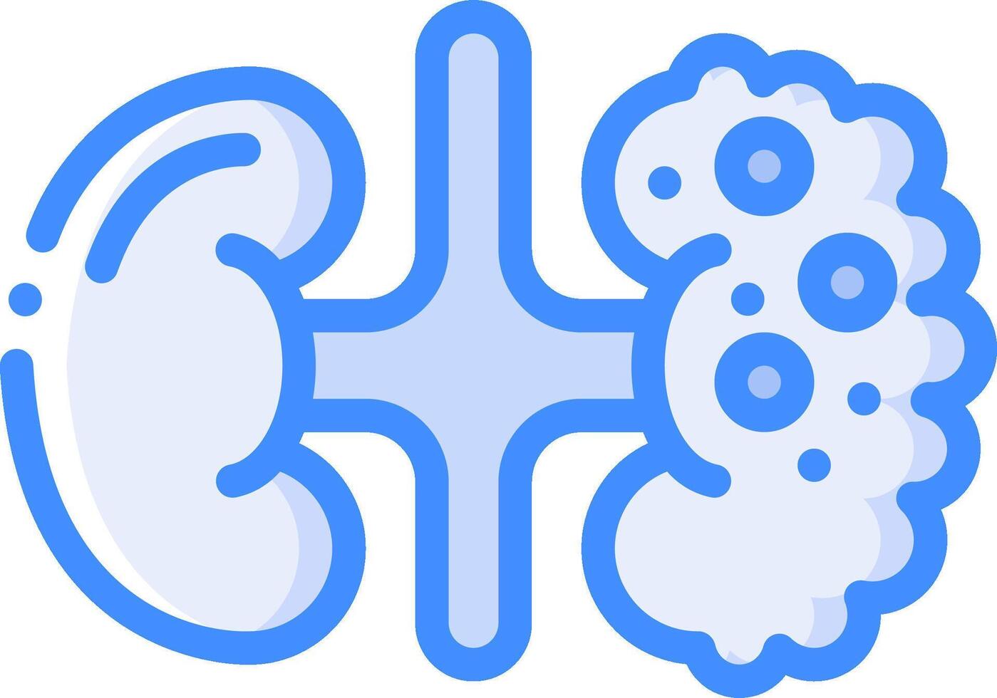An illustration of a kidney and a bladder vector