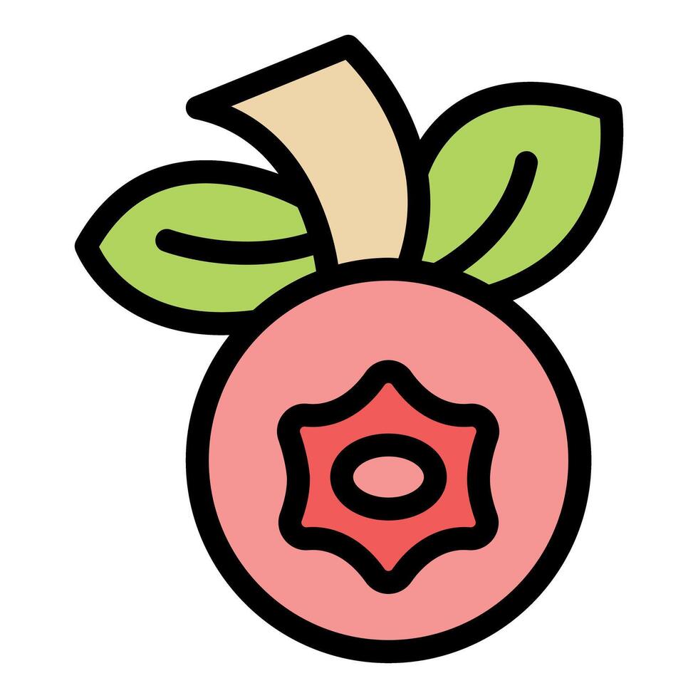 Pink peach fruit showing its delicious flesh vector
