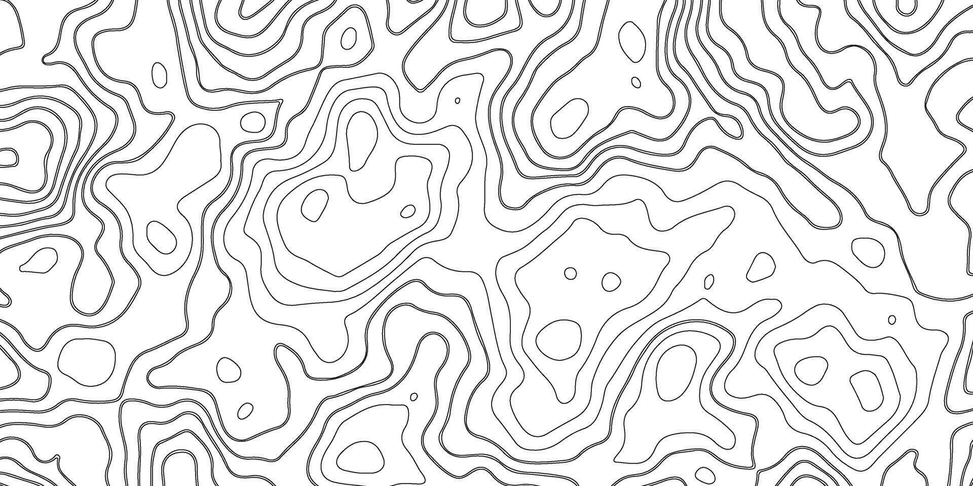 Topographic Contour Line Pattern vector