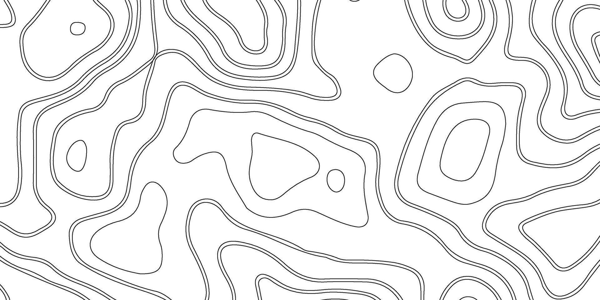 Black and White Topographic Line Pattern vector