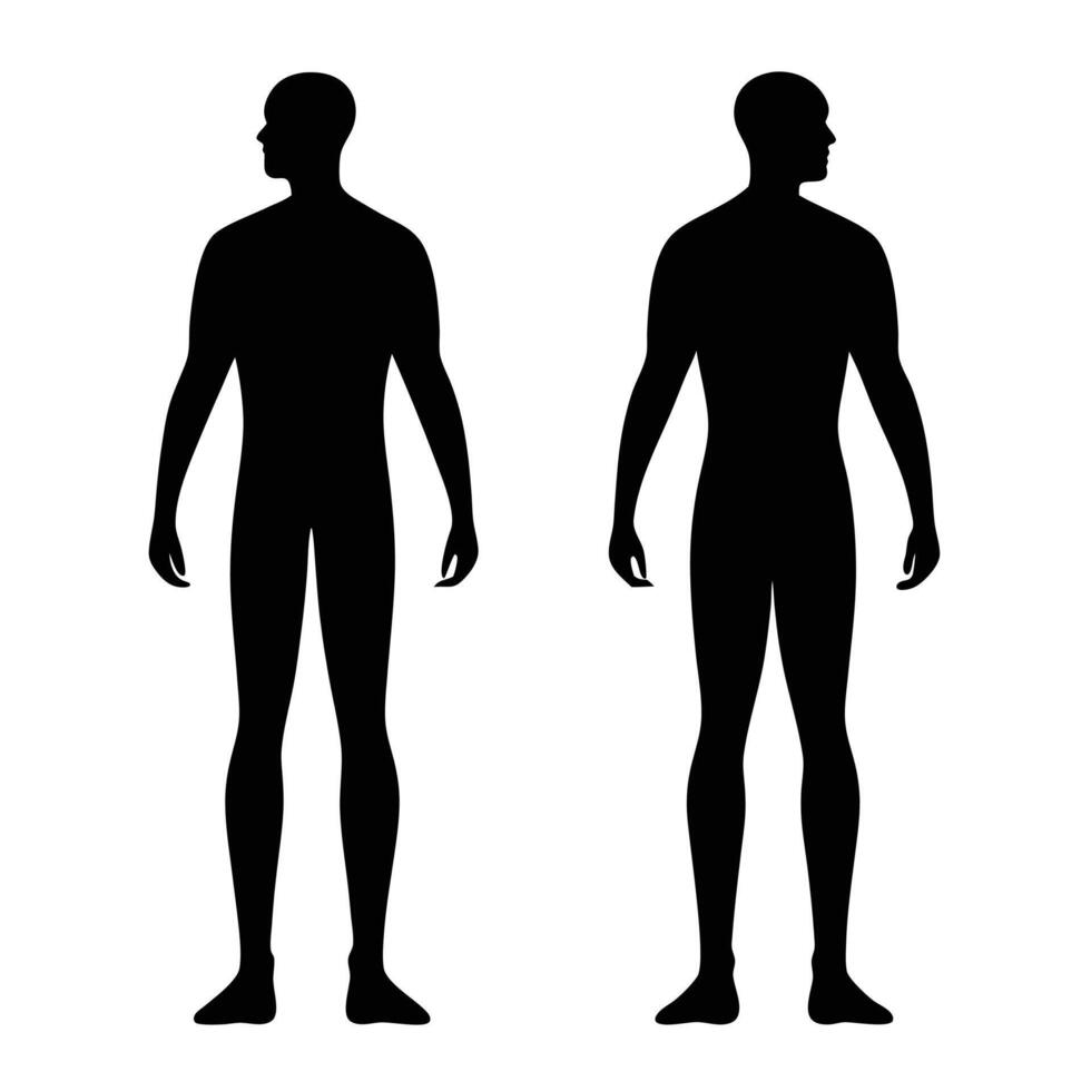 Two silhouettes of a man's body, one standing and one standing vector