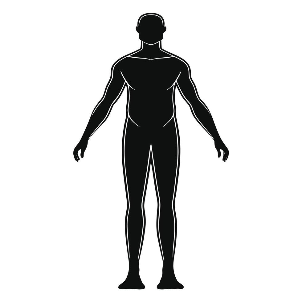 A silhouette of a man's body with no head vector