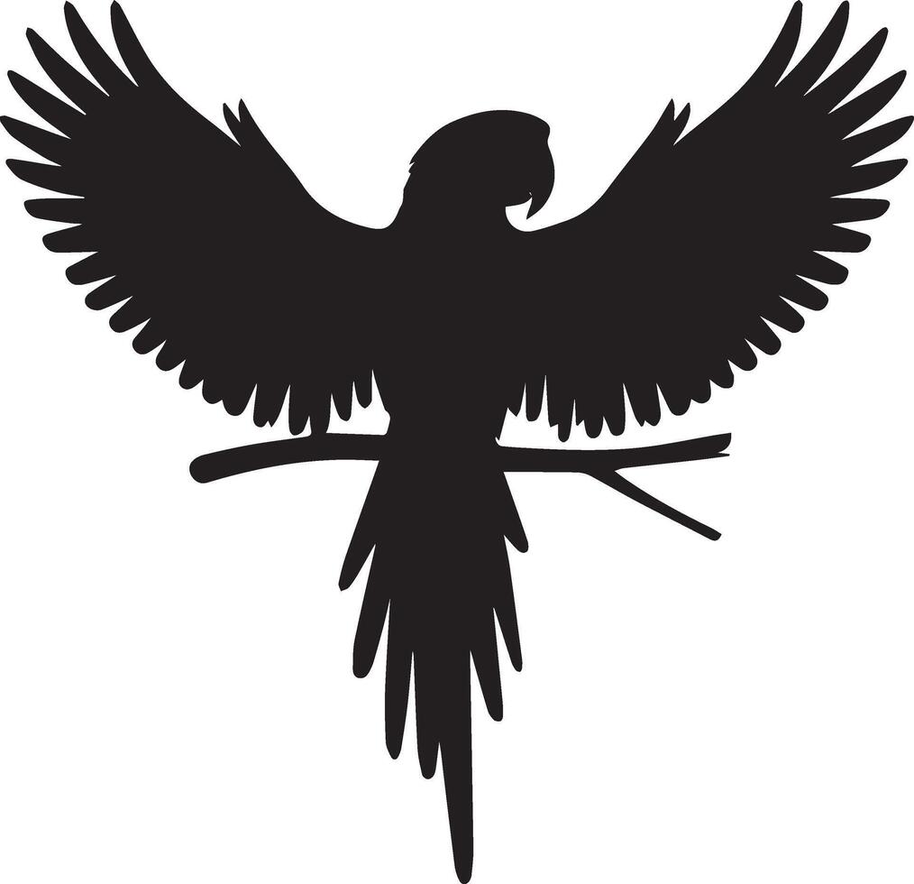 Parrot Bird Black vector